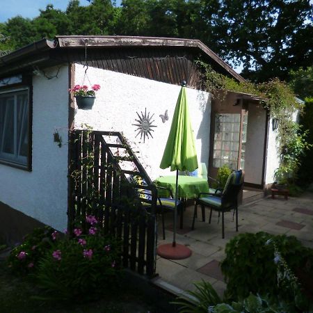 Ferienhaus Anne Thale Extérieur photo