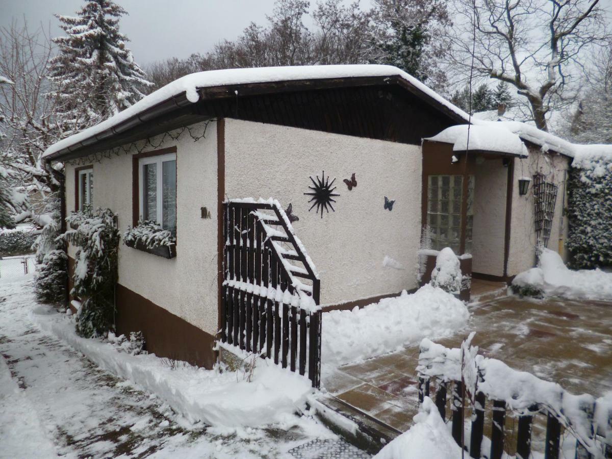 Ferienhaus Anne Thale Extérieur photo
